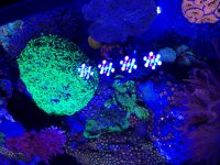 IMG_1293.jpg