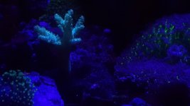 20160731_111743.jpg