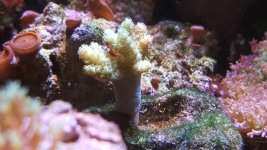 20160730_133458.jpg