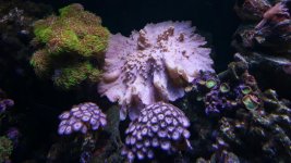 20160605_141023252.jpg