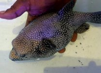 20160512_113140.jpg