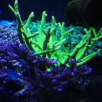 IMG_4506.JPG