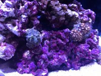 IMG_7572.jpg