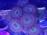 20161119_130146.jpg