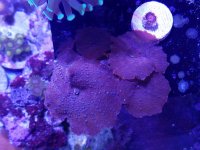 20161119_130259.jpg