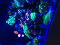 IMG_5405.jpg