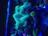 IMG_5408.jpg
