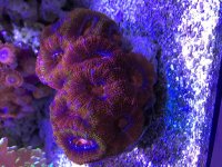 IMG_5228.jpg