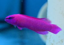 DSC_0435.JPG