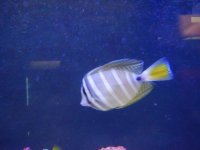 DSCN6138.jpg