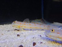 DSCN6152.jpg