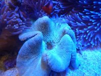 DSCN6160.jpg