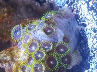 20170514_194511.jpg
