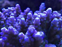 IMG_1405.jpg