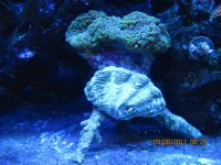 IMG_3038.jpg