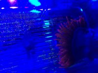 IMG_1010.jpg