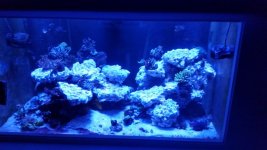 20170125_203942.jpg