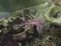 IMG_0019.jpg