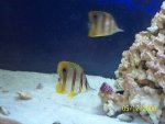 100_2707.jpg
