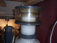 collection cup on.jpg