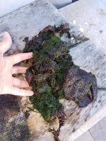 20161203_144800.jpg