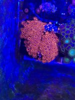 IMG_4142.jpg
