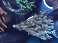 IMG_3779.jpg