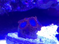 IMG-20170715-WA0014.jpg