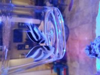 20170715_140118.jpg