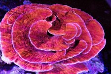 IMG_0254.jpg