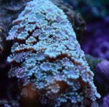 DSC_0609.JPG