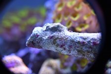DSC_0048.jpg