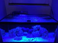 IMG_0749.jpg