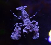 DSC_0174.JPG