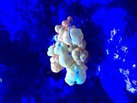 D7E9D1E6-7F4F-49D5-BC4A-32EEE776FAE9.jpg