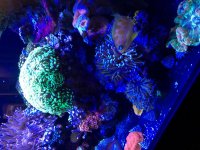 IMG_1126.jpg