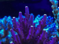 IMG_5443.jpg