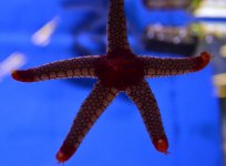 DSC_0004.JPG