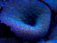 000_44901.JPG