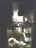 sump.jpg
