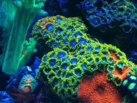 IMG_20180129_231133.jpg
