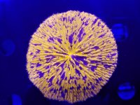 20170527_144226.jpg