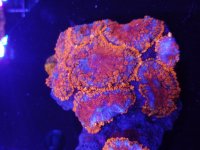 20170527_145849.jpg