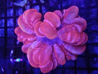 20170527_153047.jpg