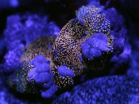 IMG_0142.jpg