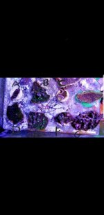 Screenshot_20180428-102037_Gallery.jpg