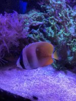 IMG_2535.jpg