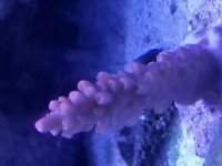 20171119_163052.jpg