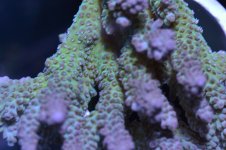 DSC_1027.JPG