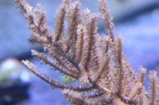 DSC_1037.JPG